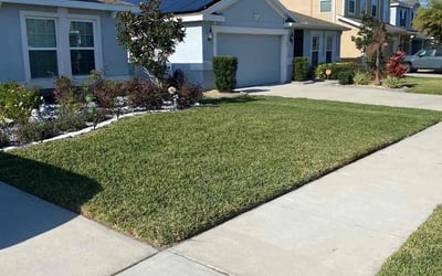 Photo of Angela M.'s yard after getting lawn care in Johnstown, PA