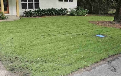 Photo of Mylanah A.'s yard after getting lawn care in Ocean Springs, MS