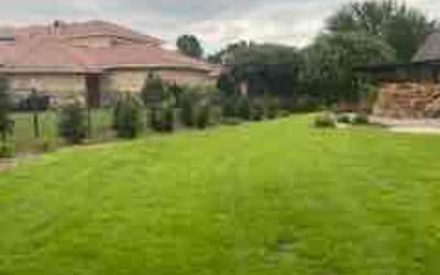Photo of Robert A.'s yard after getting lawn care in Chalmette, LA
