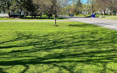 Photo of Gary L.'s yard after getting lawn care in North Tonawanda, NY