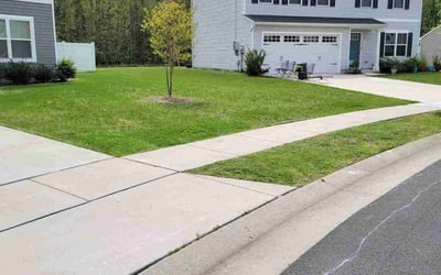 Photo of Roger W.'s yard after getting lawn care in Berlin, MD