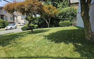 Photo of Chong N.'s yard after getting lawn care in Fort Lee, NJ