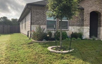 Photo of Tucker N.'s yard after getting lawn care in Seguin, TX