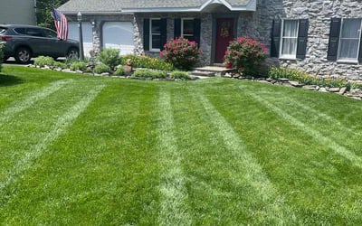 Photo of Kathy S.'s yard after getting lawn care in Cantonment, FL
