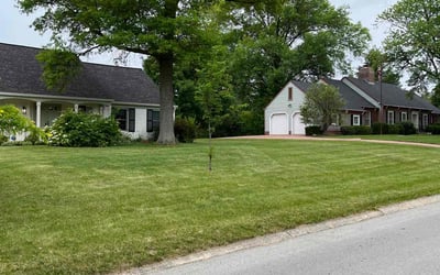 Photo of Mike K.'s yard after getting lawn care in Beckley, WV