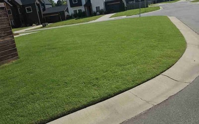 Photo of Mark W.'s yard after getting lawn care in Lenoir, NC