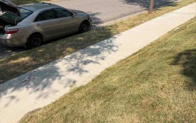 Photo of Sherman K.'s yard after getting lawn care in Clemmons, NC
