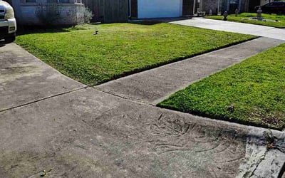 Photo of Thaddius H.'s yard after getting lawn care in Marshfield, MA