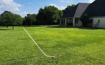 Photo of Kurt M.'s yard after getting lawn care in Westland, MI