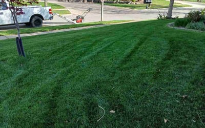 Photo of David B.'s yard after getting lawn care in Plattsmouth, NE