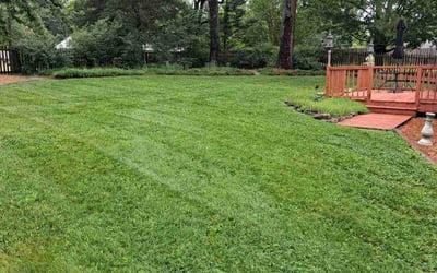 Photo of Salma A.'s yard after getting lawn care in Oakdale, MN