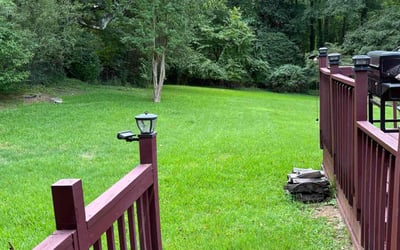 Photo of Yolanda B.'s yard after getting lawn care in Austell, GA