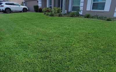 Photo of Ashley A.'s yard after getting lawn care in Davenport, FL