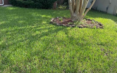Photo of Najah T.'s yard after getting lawn care in Yakima, WA
