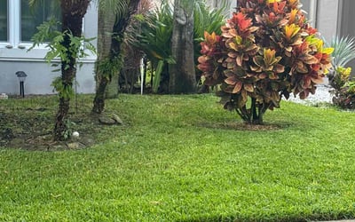 Photo of Melissa R.'s yard after getting lawn care in Chester, SC