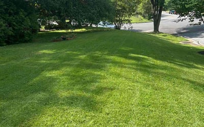 Photo of Stephany O.'s yard after getting lawn care in Takoma Park, MD