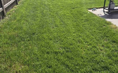 Photo of Jim S.'s yard after getting lawn care in Waunakee, WI