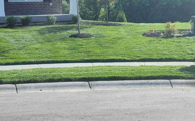 Photo of Jennifer C.'s yard after getting lawn care in Lakeville, MN