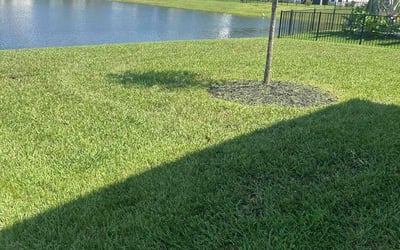 Photo of Renee P.'s yard after getting lawn care in Central, SC