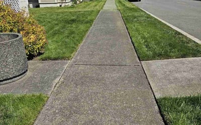 Photo of Rachel T.'s yard after getting lawn care in Buckley, WA