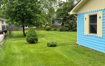 Photo of Christopher S.'s yard after getting lawn care in West Chicago, IL