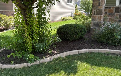 Photo of Sue H.'s yard after getting lawn care in Fairburn, GA