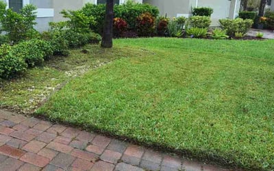 Photo of Lisa H.'s yard after getting lawn care in Logan, OH