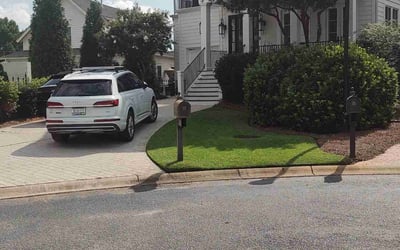 Photo of Rocco C.'s yard after getting lawn care in West Columbia, SC