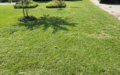 Photo of Rhiannon S.'s yard after getting lawn care in Freeport, NY