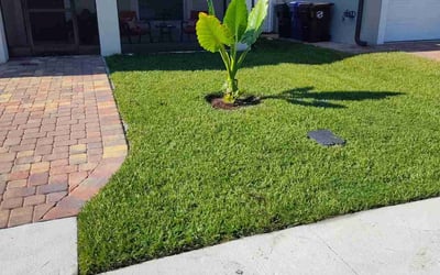 Photo of Jason W.'s yard after getting lawn care in Little Neck, NY