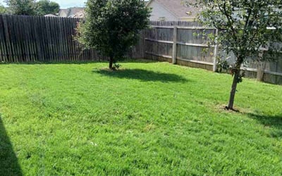 Photo of Carrie M.'s yard after getting lawn care in Elmendorf, TX