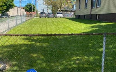 Photo of Brenda R.'s yard after getting lawn care in Bountiful, UT