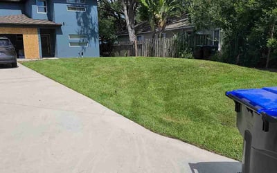 Photo of Alice C.'s yard after getting lawn care in East Elmhurst, NY