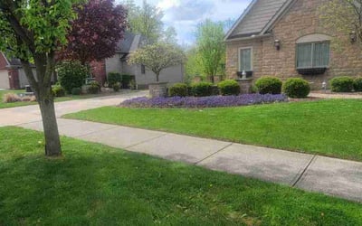 Photo of Betsy M.'s yard after getting lawn care in Independence, OH