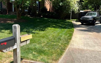 Photo of Keith L.'s yard after getting lawn care in Reidsville, NC