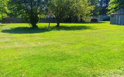 Photo of Gregory F.'s yard after getting lawn care in Norristown, PA