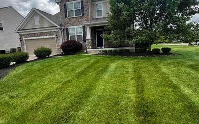 Photo of Bree C.'s yard after getting lawn care in Strongsville, OH