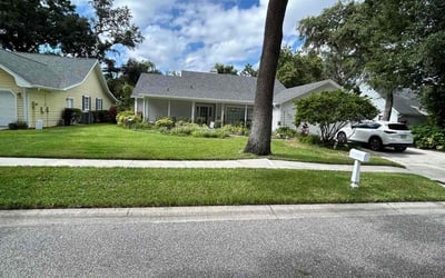 Photo of Angel R.'s yard after getting lawn care in Holiday, FL