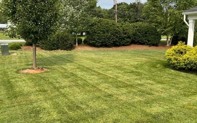 Photo of Hansel G.'s yard after getting lawn care in Homestead, FL