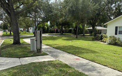 Photo of Cindy J.'s yard after getting lawn care in Albany, GA