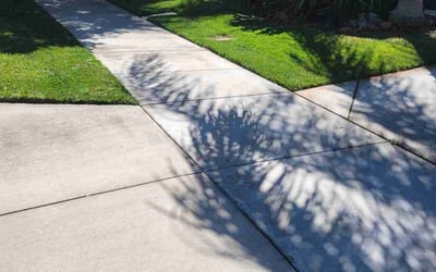 Photo of Vishal S.'s yard after getting lawn care in Lathrop, CA