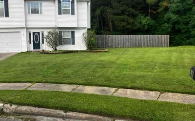 Photo of Sheena P.'s yard after getting lawn care in Savannah, GA
