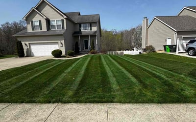 Photo of Sheila H.'s yard after getting lawn care in Brecksville, OH