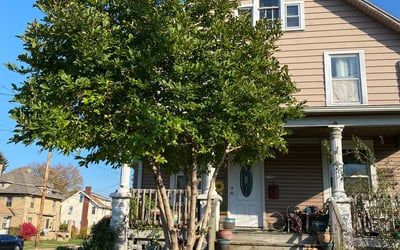 Photo of Melissa P.'s yard after getting lawn care in Erie, PA