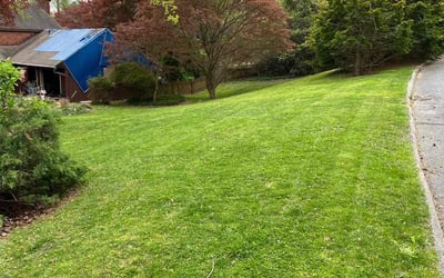 Photo of Madonna P.'s yard after getting lawn care in Brooklyn Park, MD