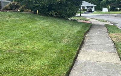 Photo of Denise M.'s yard after getting lawn care in Oceanside, NY