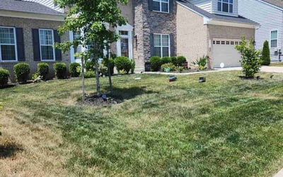 Photo of Pablo M.'s yard after getting lawn care in Upper Marlboro, MD