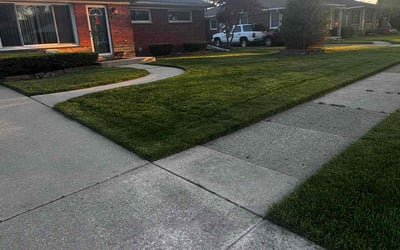 Photo of Hannah T.'s yard after getting lawn care in Cleveland, OH