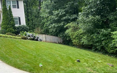 Photo of Tatianna W.'s yard after getting lawn care in New Iberia, LA