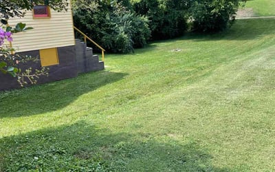 Photo of Nicole S.'s yard after getting lawn care in Knoxville, TN
